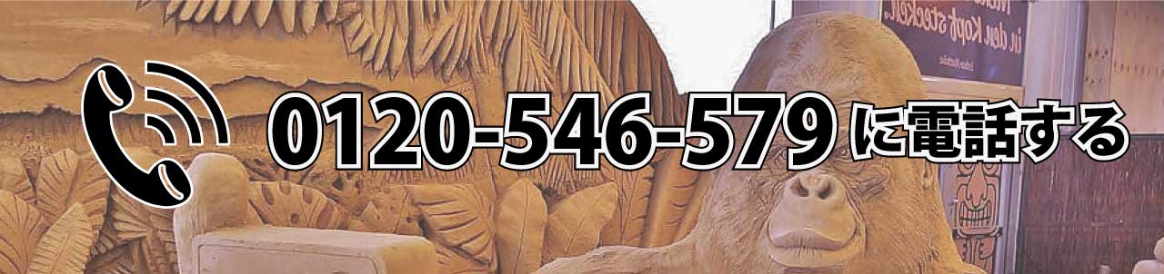 0120-546-579に電話する